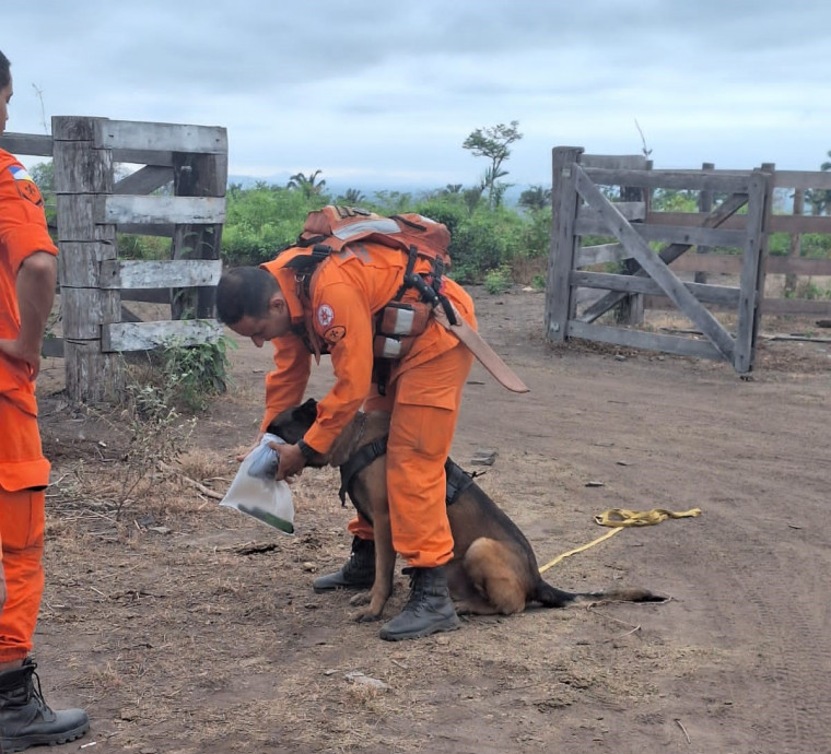 Cão farejador também atuou na operação