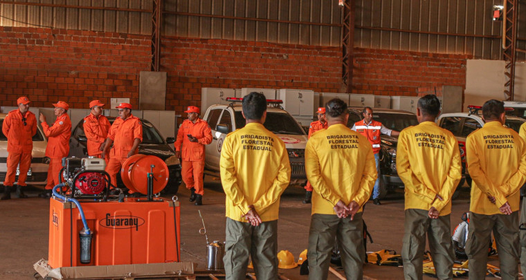 Brigadistas vão auxiliar trabalho dos bombeiros no combate a incêndios florestais.