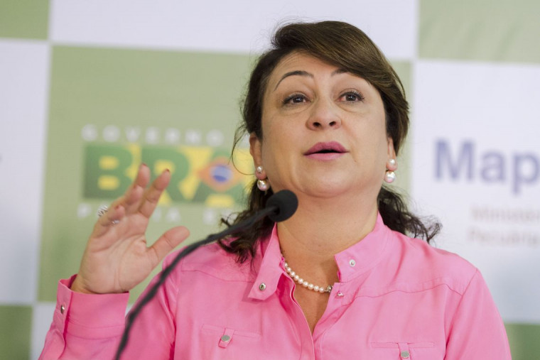 Senadora Kátia Abreu (PDT-TO)