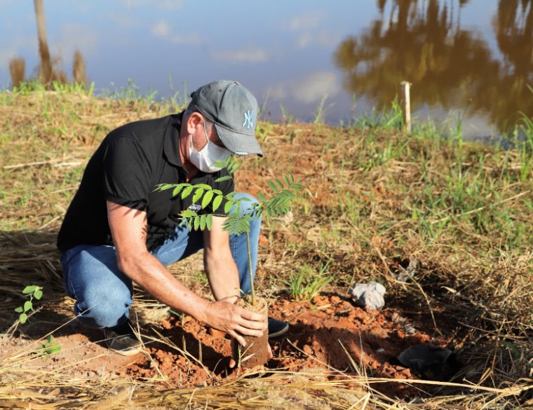 Equipes do Meio Ambiente plantaram 30 mudas de árvores