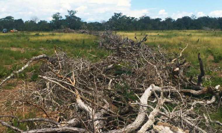Para reprimir desmatamento ilegal, Naturatins, Ibama e BPMA atuam em conjunto