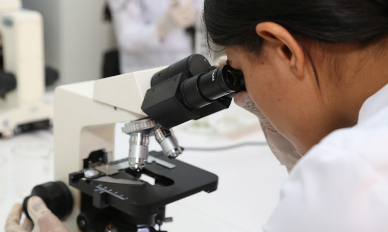 Pesquisadores tocantinenses realizam estudos científicos em diversas instituições de ensino do Estado