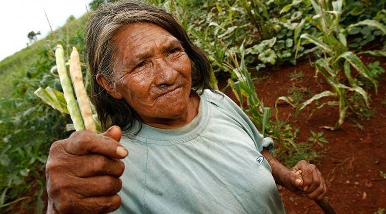 Objetivo é fortalecer a agricultura nas comunidades indígenas do Estado