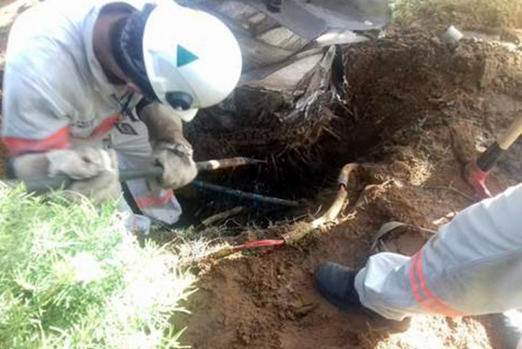 Funcionários da concessionária de energia encontraram gato de energia enterrado