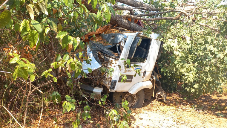 Caçamba da Ageto foi parar no mato às margens da rodovia.