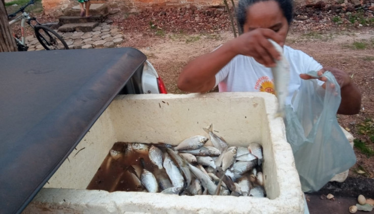 Pescado apreendido foi doado à comunidade carente