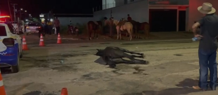 Égua morreu após realização da cavalgada.