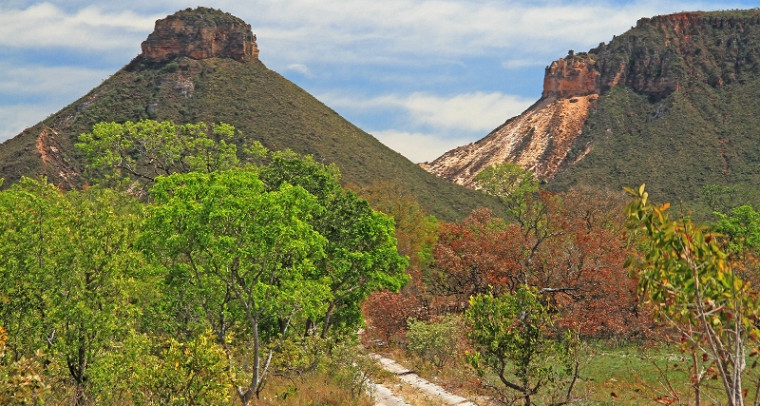 Projeto prevê pagamento pela preservação do meio ambiente