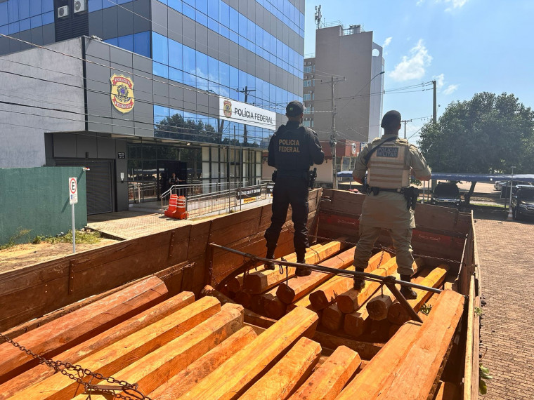 Operação da PFTO contra extração de madeira ilegalmente.