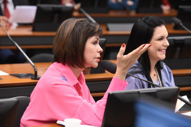 Deputada Federal e Senadora Eleita Professora Dorinha (UB/TO).