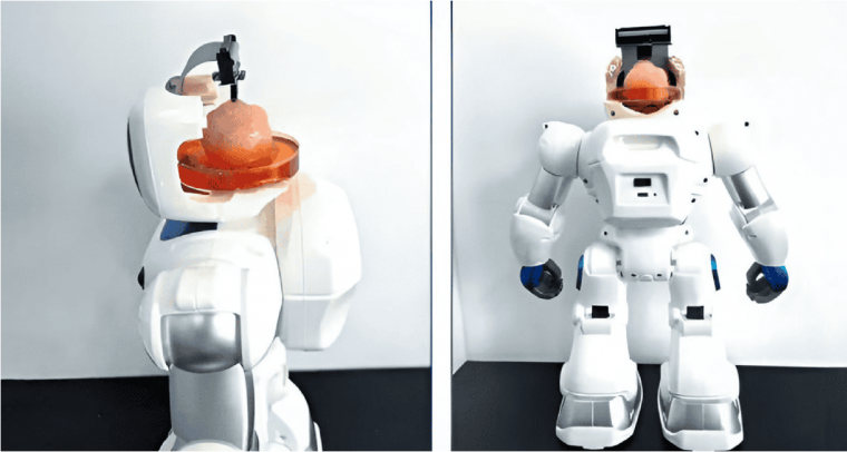 Conheça o primeiro robô controlado por um cérebro artificial