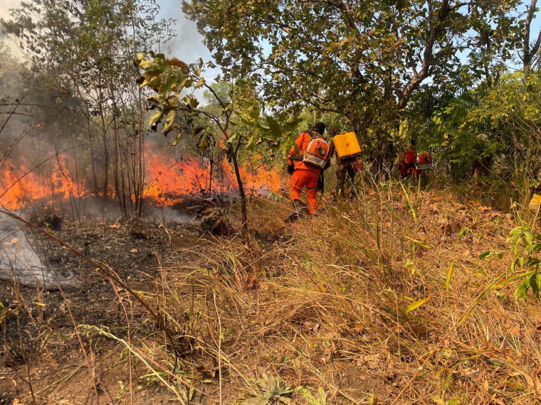 Os incêndios florestais causam grandes prejuízos econômicos, à saúde e ambientais