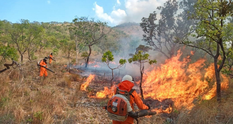 Bombeiros Militares atuando em combate a incêndio florestal em 2022