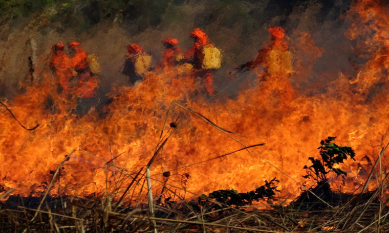 Satélite detectou queimadas nessas propriedades rurais