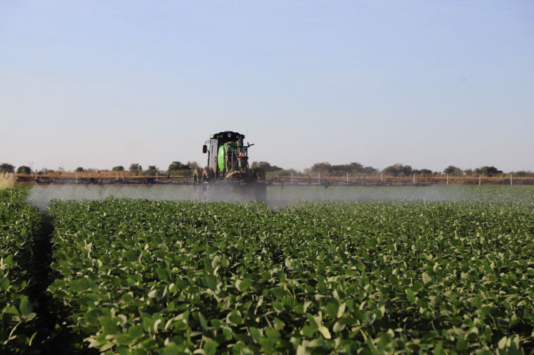 Cultivo de soja na Unidade de Pesquisa Agro da Unitins em Formoso do Araguaia