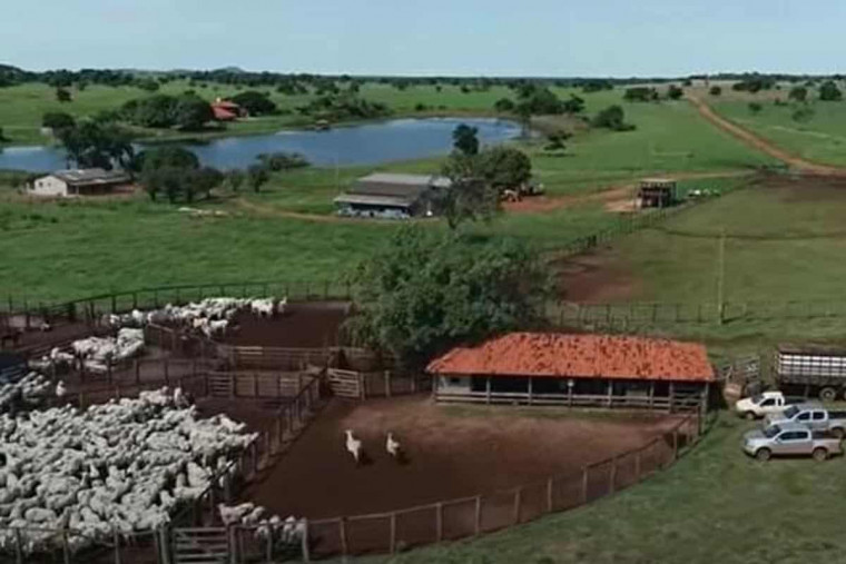 Fazenda foi vendida por R$ 350 milhões.
