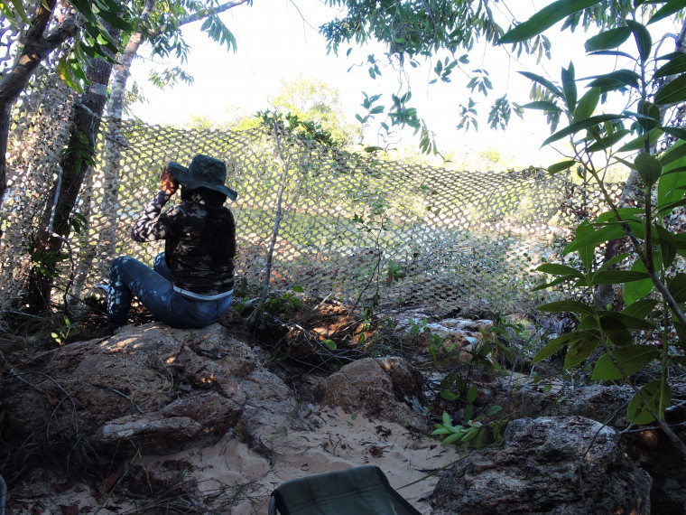 Pesquisadores passam longas horas de observação em acampamento