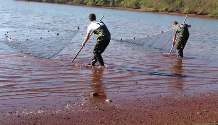 Atividades ocorrem no Rio Tocantins e seus afluentes