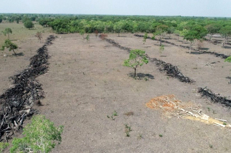 Desmatamentos ilegais foram em Paranã e Cariri