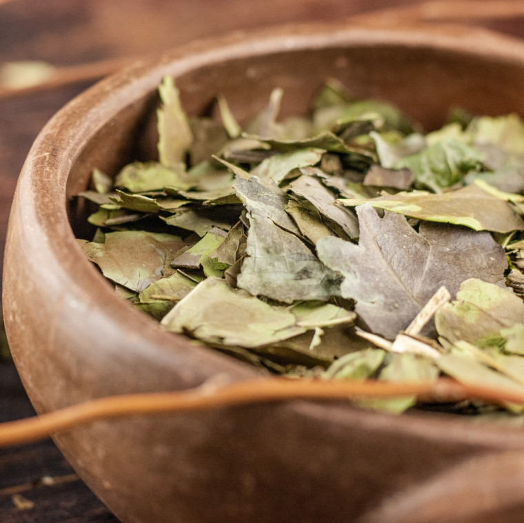 Chá verde ajuda a acelerar o metabolismo