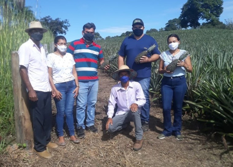 Equipe gestora e professores visitam o plantio de abacaxi de Guilherme