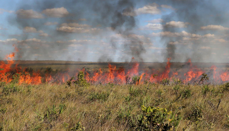 A Portaria emitida não se aplica às ações de prevenção e combate a incêndios florestais