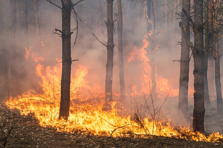 Incêndio foi de grandes proporções