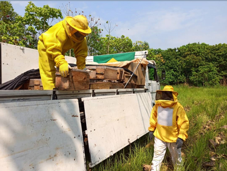 Produtores de mel comemoram resultados positivos do plano de expansão