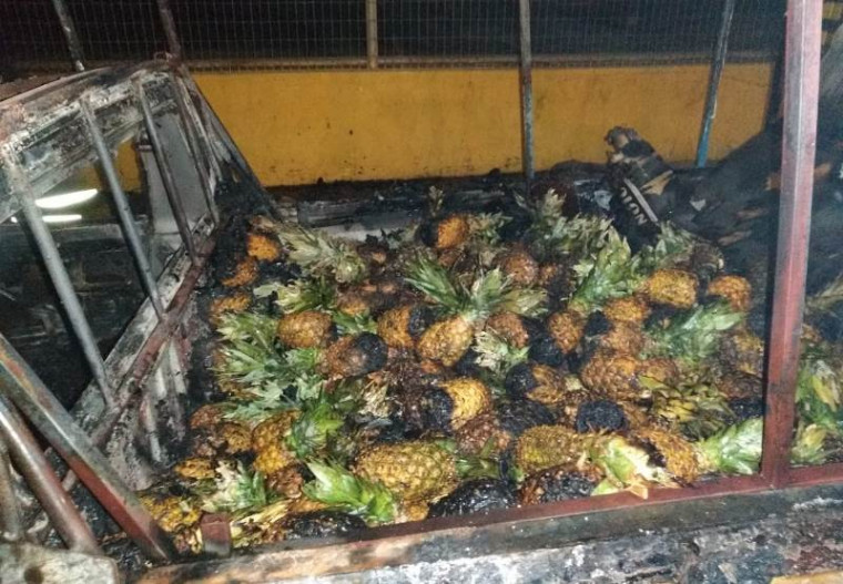 Vários abacaxis queimaram