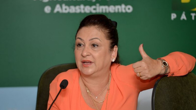 Kátia foi ministra da Agricultura no governo da presidente Dilma