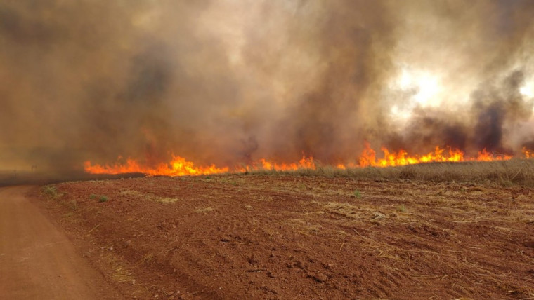 Fogo atinge fazenda na zona rural de Talismã.