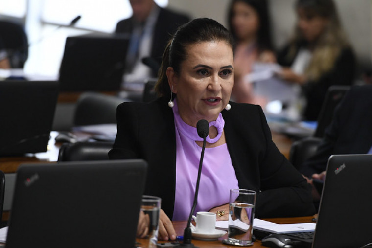Senadora Kátia Abreu votou favorável à proposta no Senado Federal