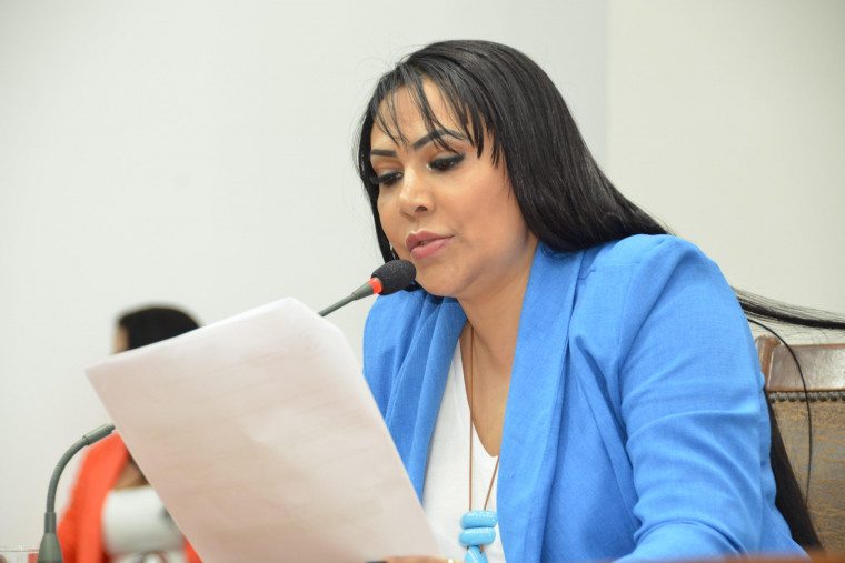 Deputada estadual Janad Valcari