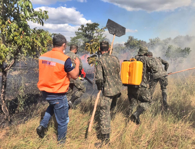 Aulas teóricas e práticas contemplam o período de formação das Brigadas Municipais