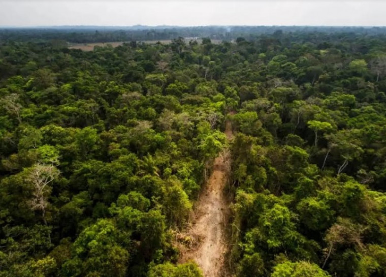 Área de preservação ambiental no Tocantins.