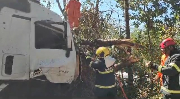 Caminhão atingiu várias árvores