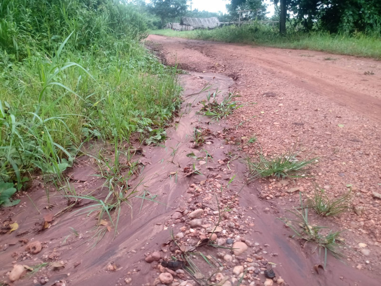 Estrada que dá acesso às aldeias apinajés.