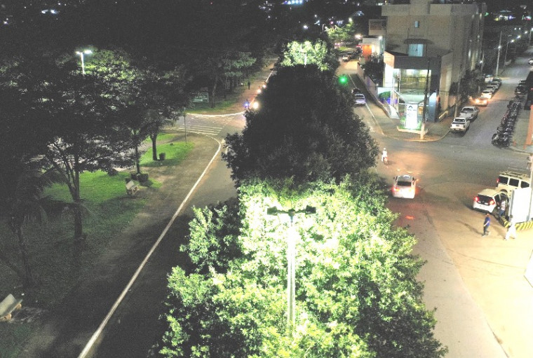 Muitas árvores estão obstruindo a iluminação pública