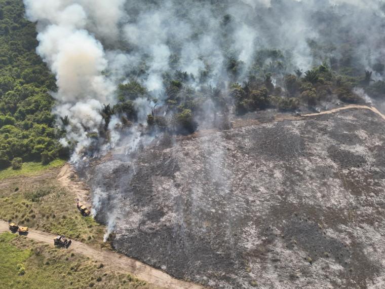 Área atingida pelo fogo na região do Garimpinho.