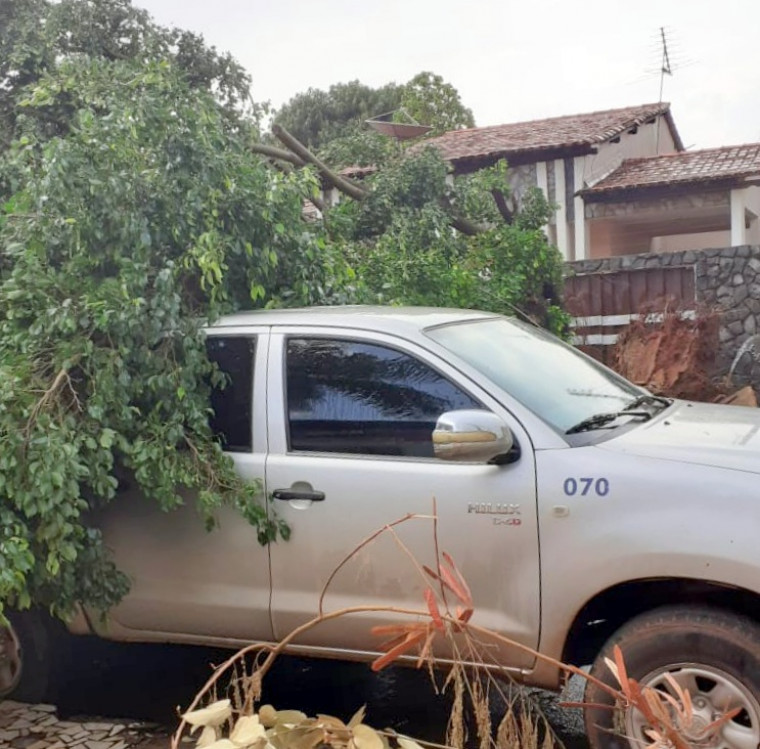 A chuva forte derrubou árvores,alagou ruas e causou prejuízos aos moradores