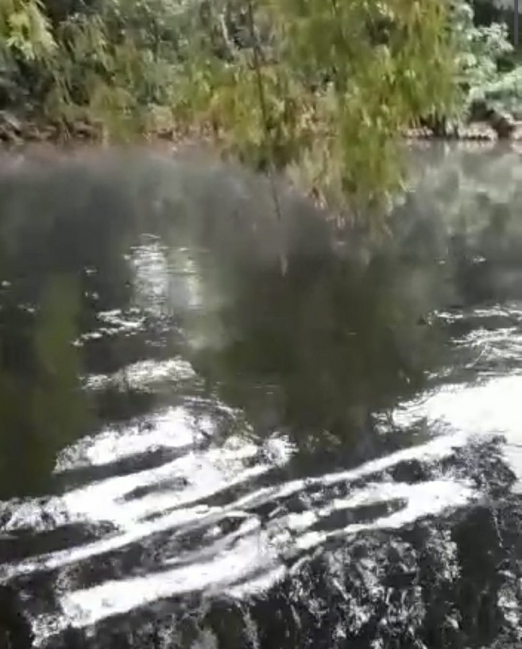Água do Rio Lontra ficou escura após esgoto ser lançado no rio.