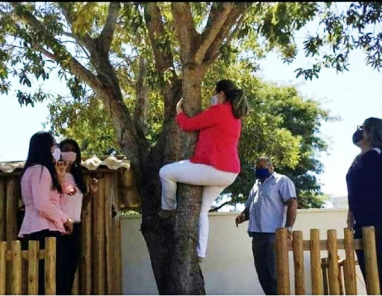 Prefeita Cinthia Ribeiro até subiu em árvore durante a semana