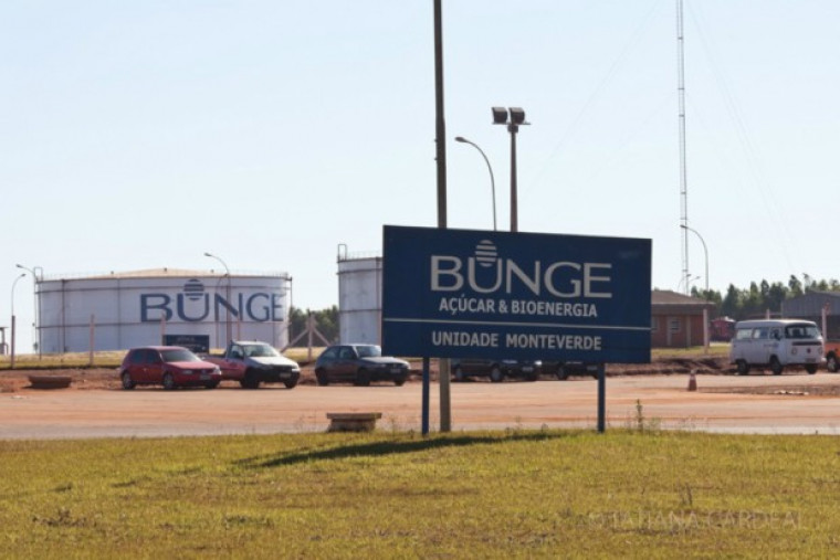 Bunge possui usina em Pedro Afonso (TO)