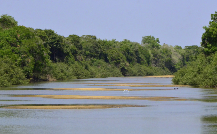 Em vários trechos do Rio Formoso é possível atravessar o leito a pé