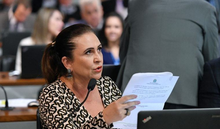 O relatório foi elaborado pela senadora Kátia Abreu (PDT-TO)