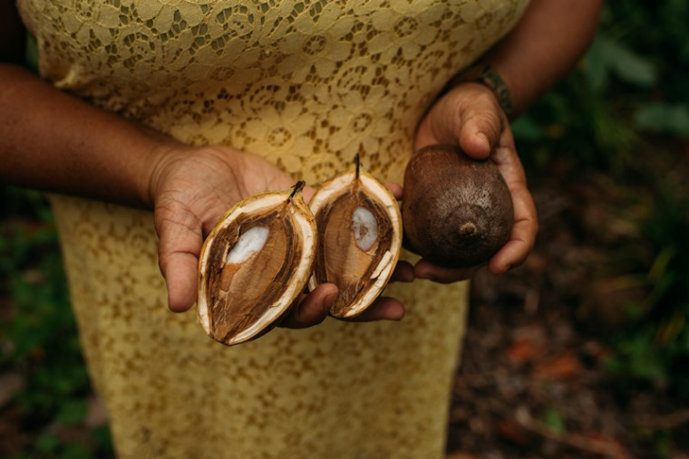 Coco babaçu