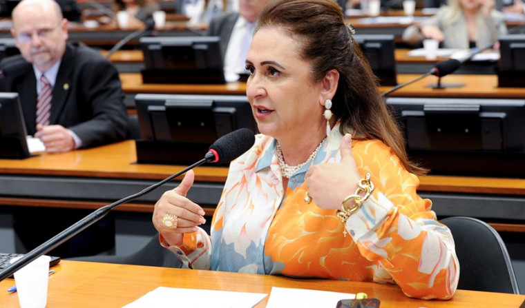 Kátia Abreu integra a comissão de reforma tributária