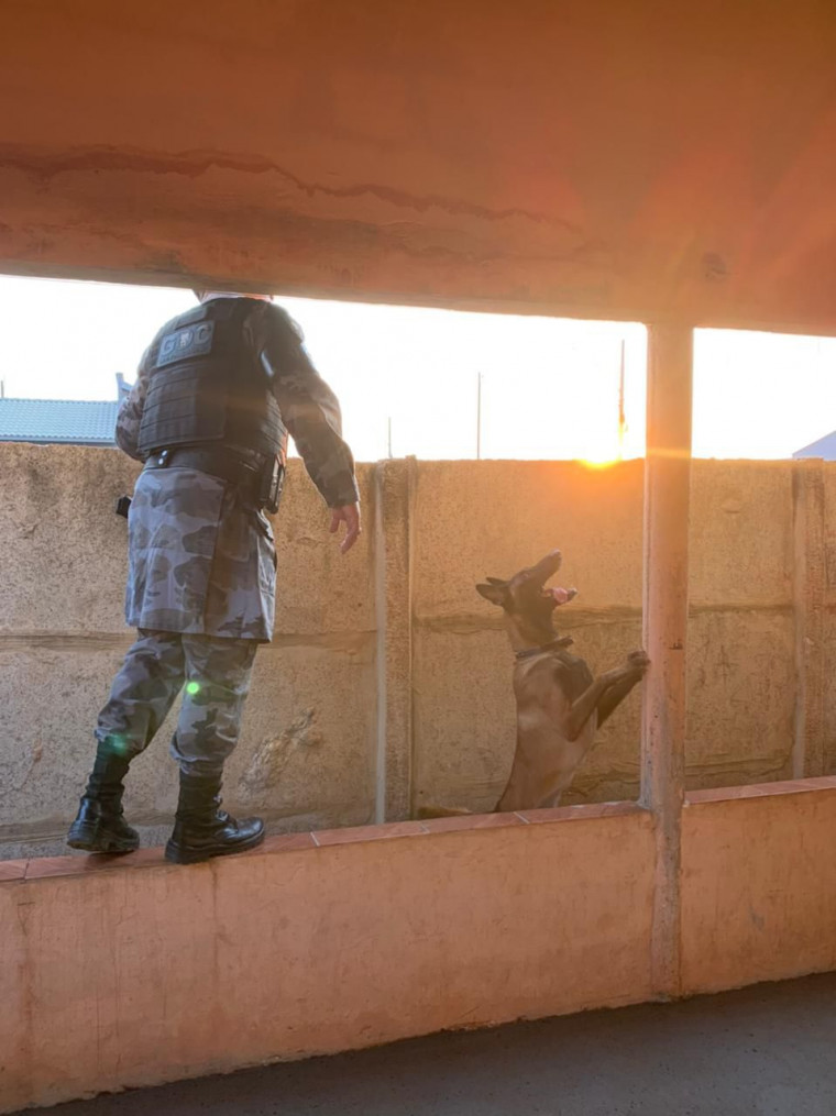 Também são cumpridas 16 ordens de busca e apreensão