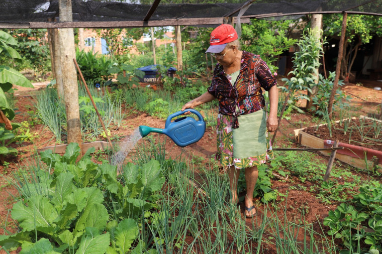 Rosilda é uma das pioneiras do projeto. No local ela cultiva, vende e ainda ajuda famílias carentes