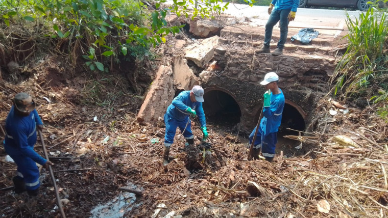 Vários troncos de bananeira foram retirados na região do Itapuã e Dom Orione